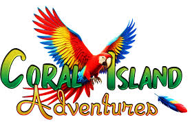 Read more about the article Coral Island Adventures – Family Truth Ministries